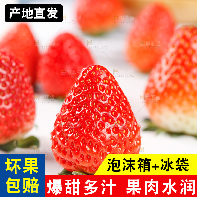 浅底上的丹东草莓