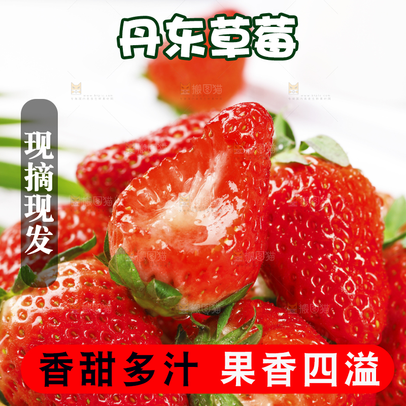 浅底上的丹东草莓