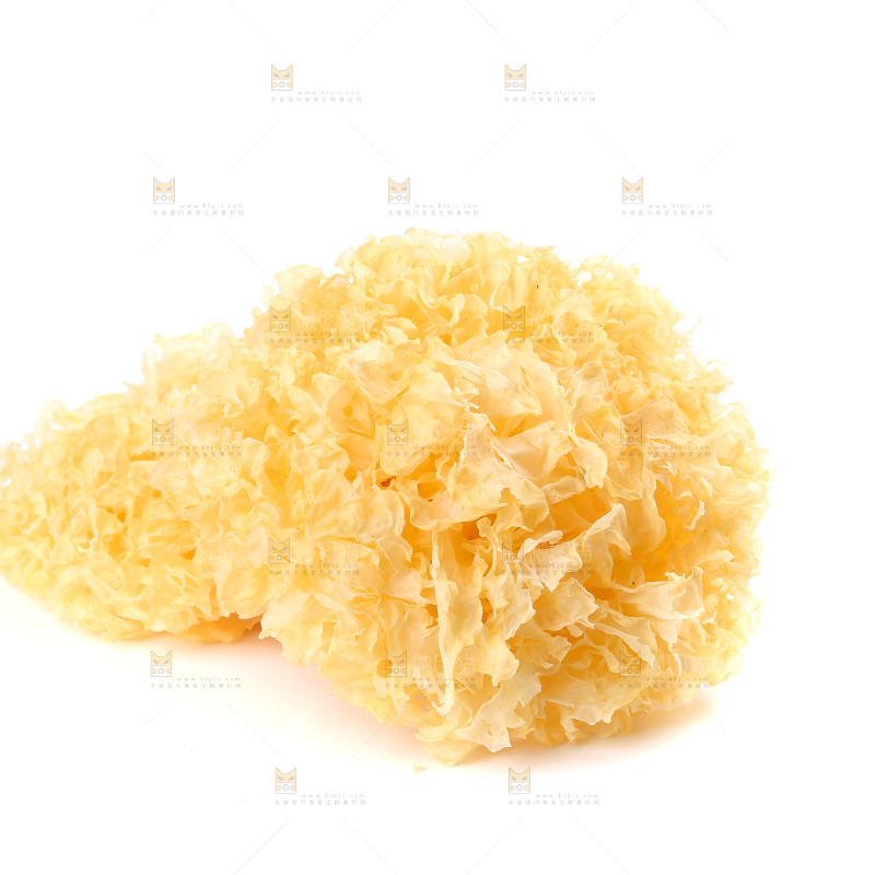 白底上的雪银耳
