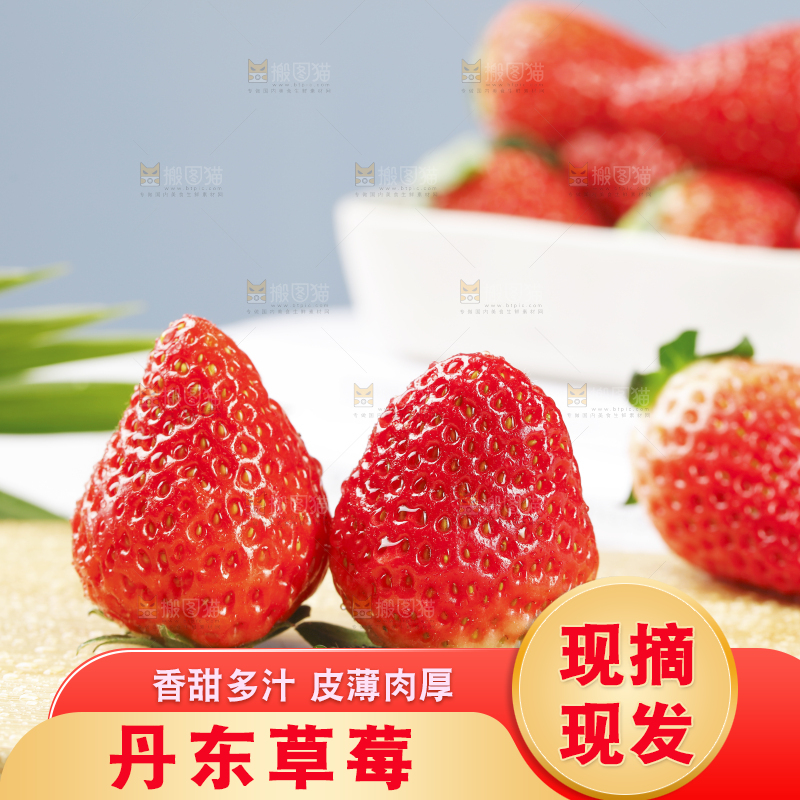 浅底上的丹东草莓