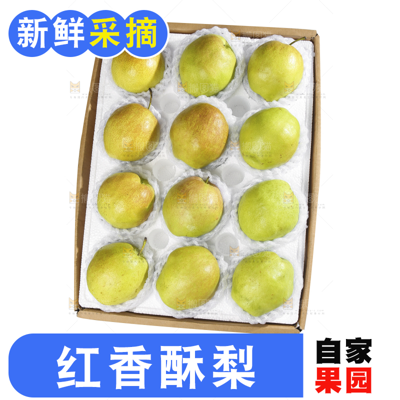 白底上的一盒红香酥梨