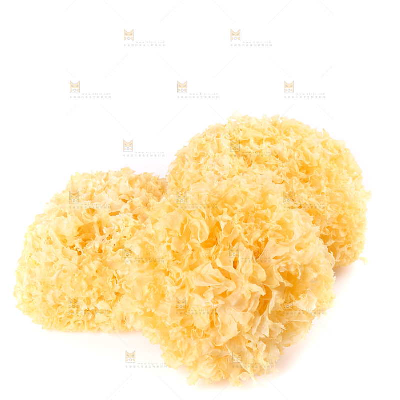 白底上的雪银耳