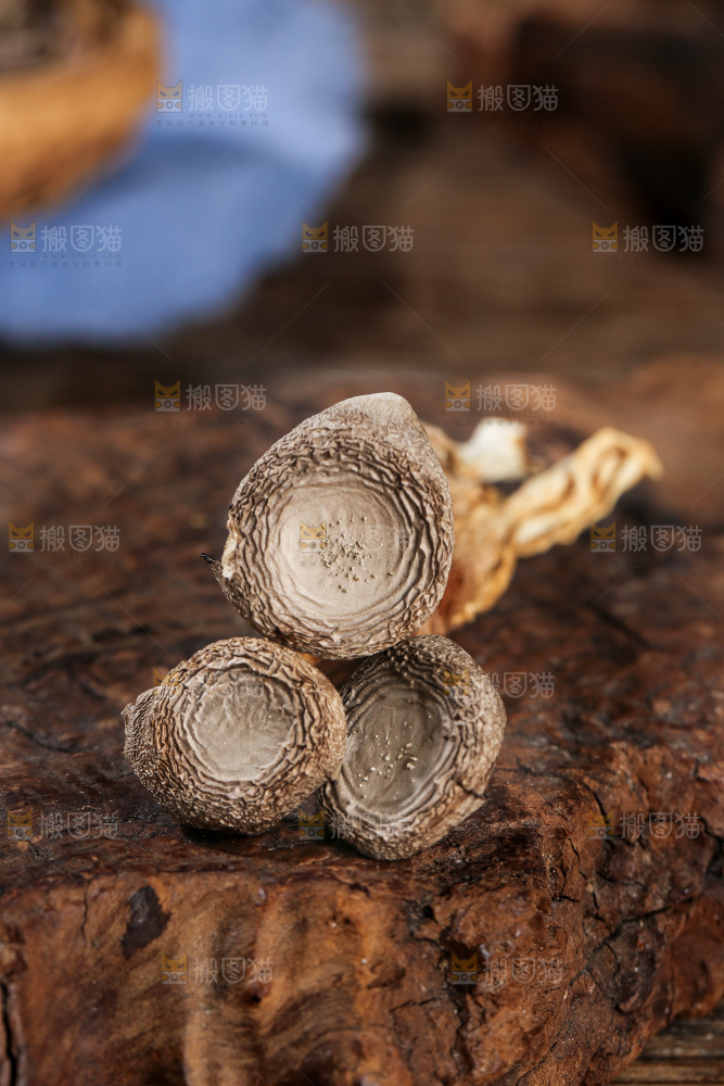 深底上的鹿茸菇