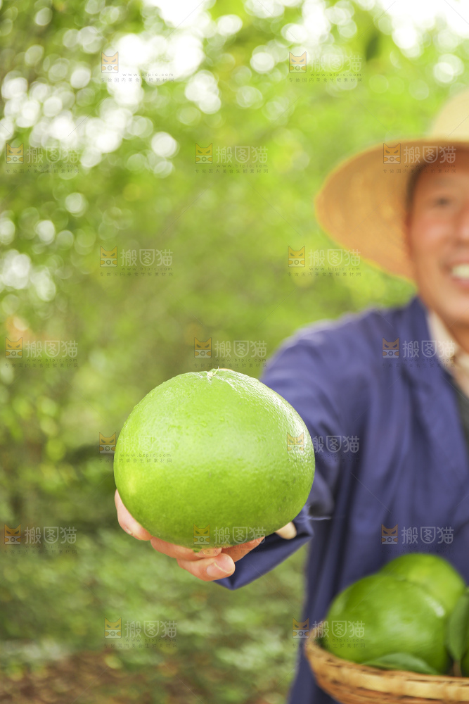 手里拿着青皮葡萄柚