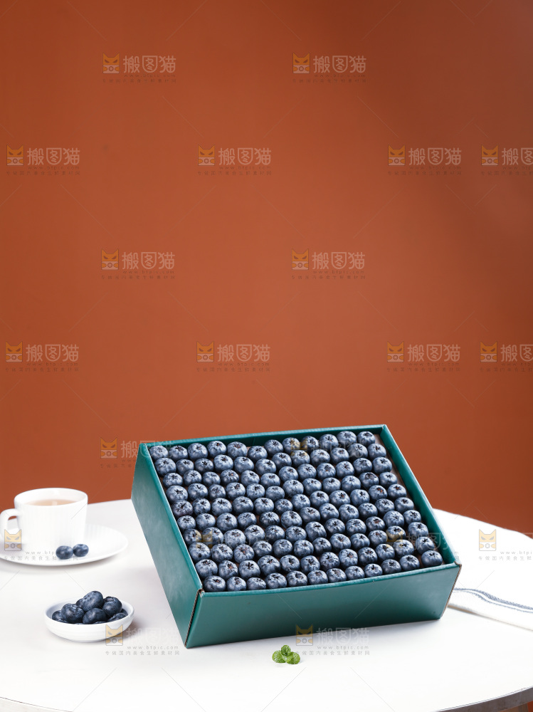 浅底上的新鲜蓝莓
