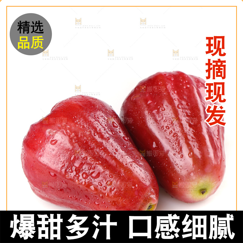 白底上的黑金刚莲雾