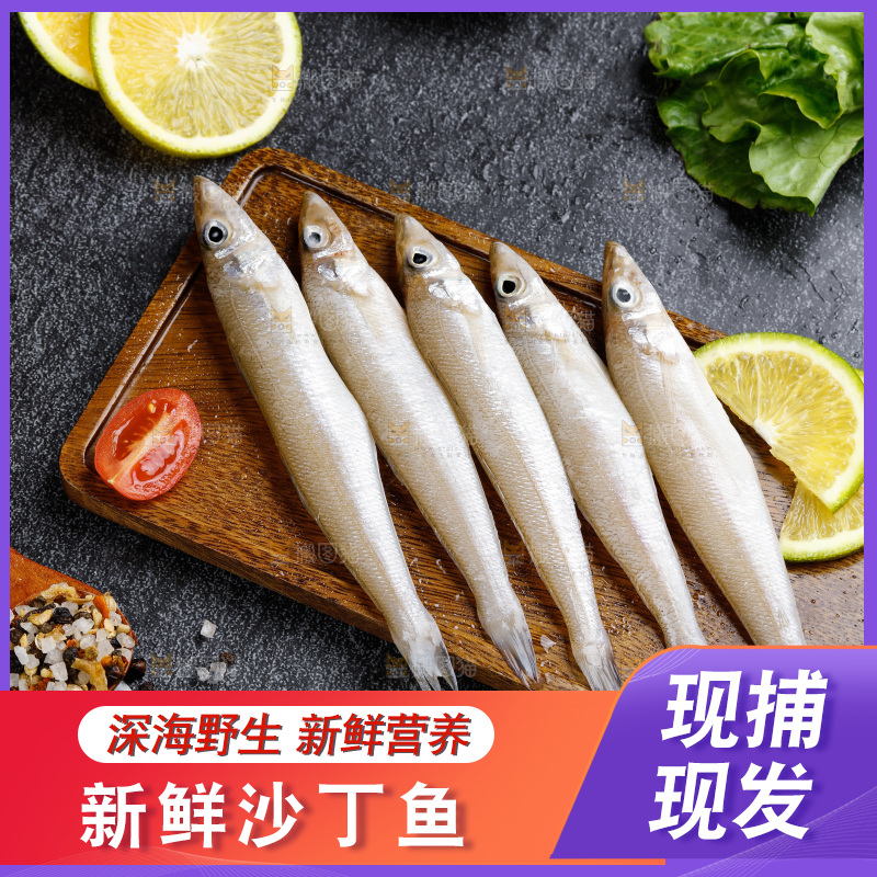 深底上的沙丁鱼