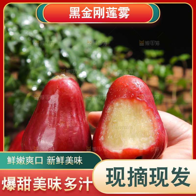 深底上的黑金刚莲雾