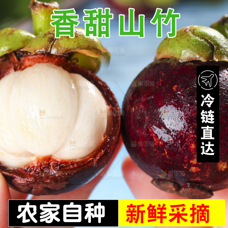 木底上的山竹