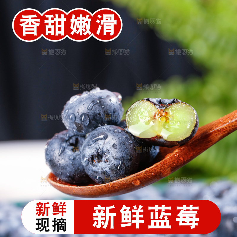 浅底上的新鲜蓝莓