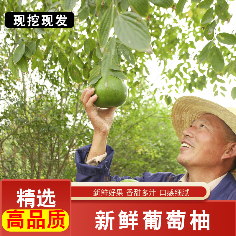 手里拿着青皮葡萄柚