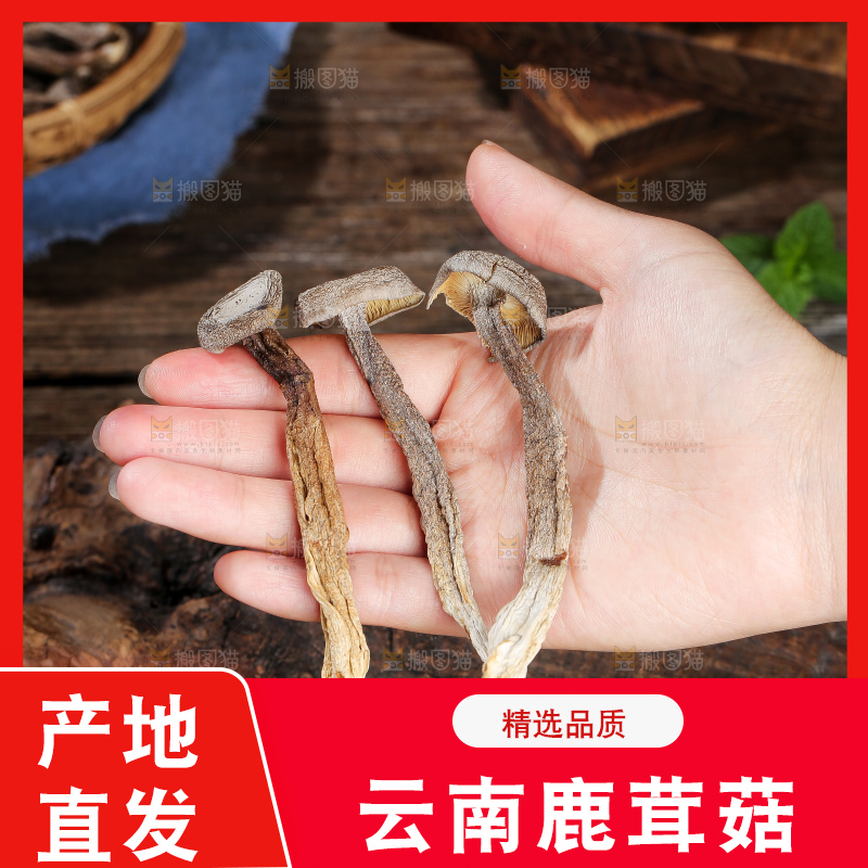 深底上的鹿茸菇