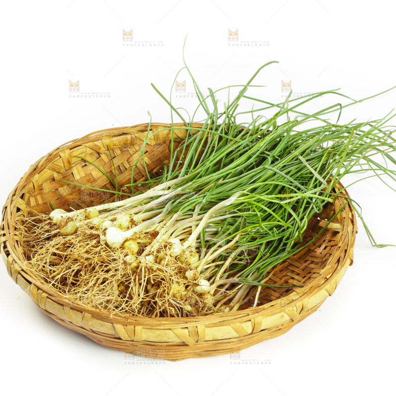 白底上的野葱