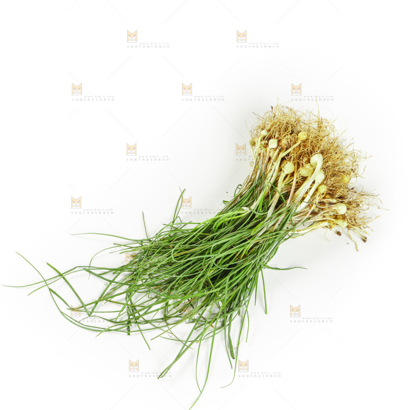 白底上的野葱