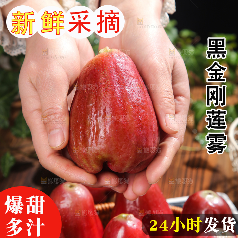 深底上的黑金刚莲雾