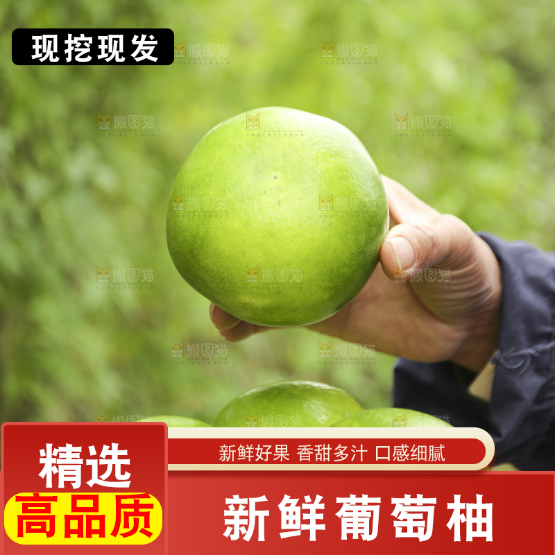 手里拿着青皮葡萄柚