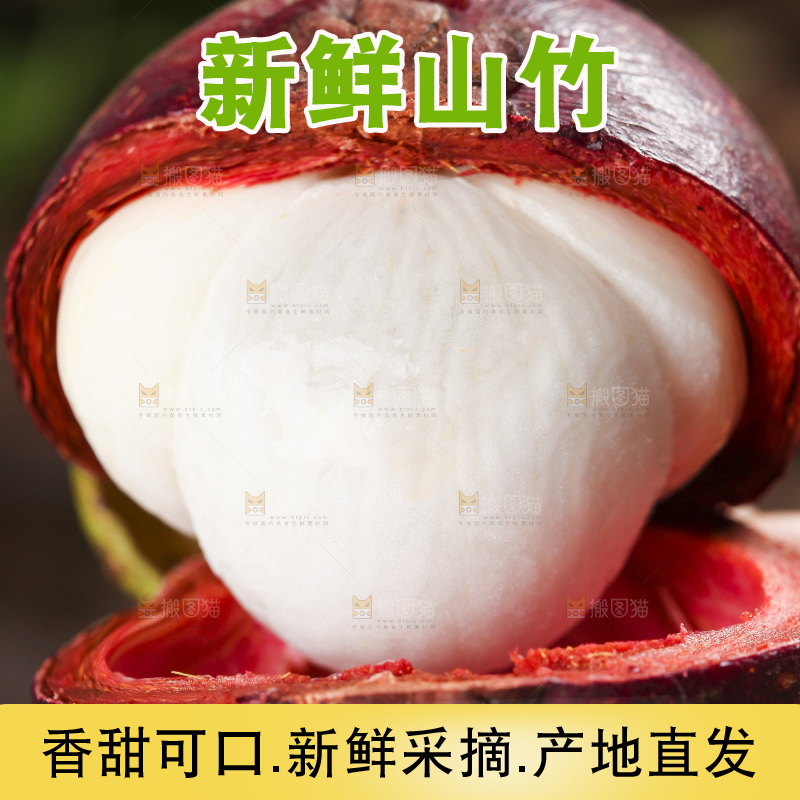 木底上的山竹