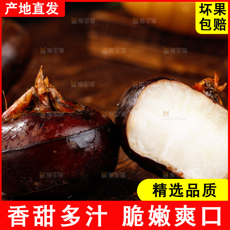 深底上的广西荔浦马蹄