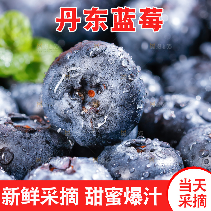 浅底上的新鲜蓝莓