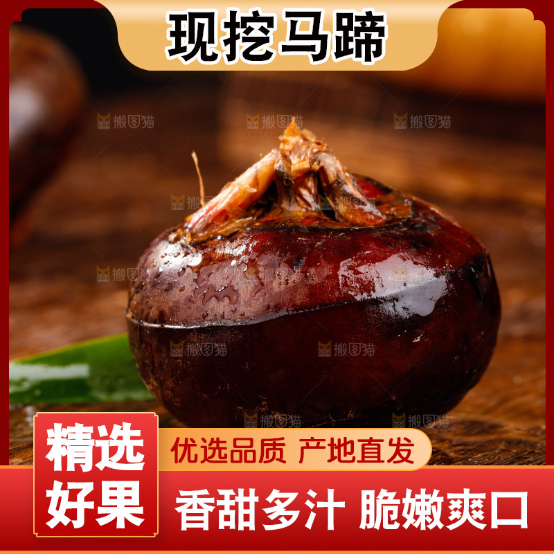 深底上的广西荔浦马蹄