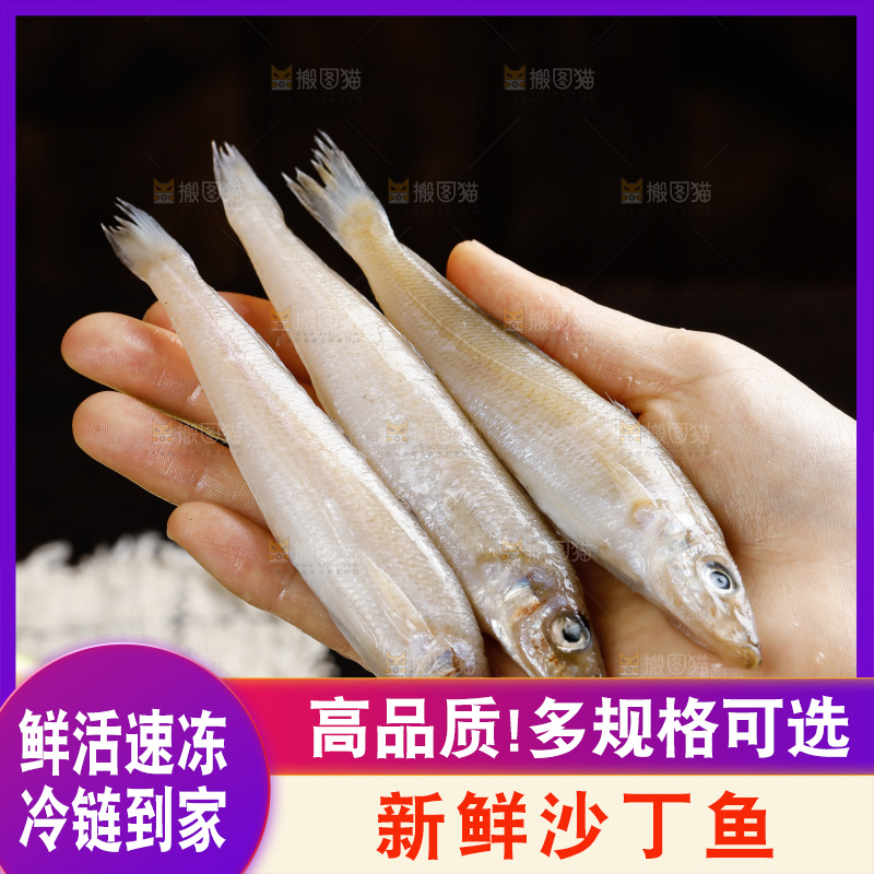深底上的沙丁鱼
