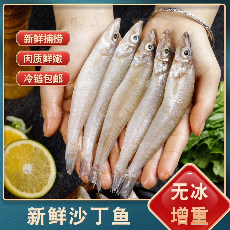深底上的沙丁鱼