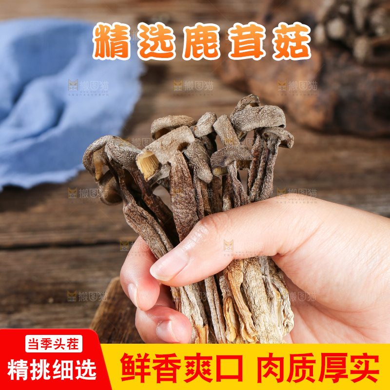 深底上的鹿茸菇