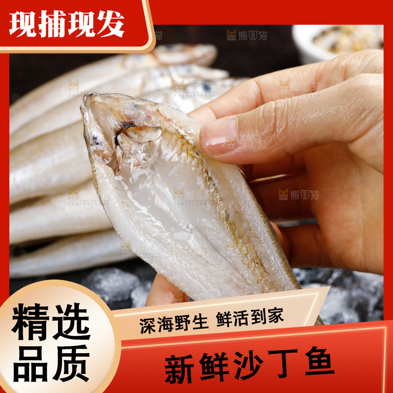 深底上的沙丁鱼
