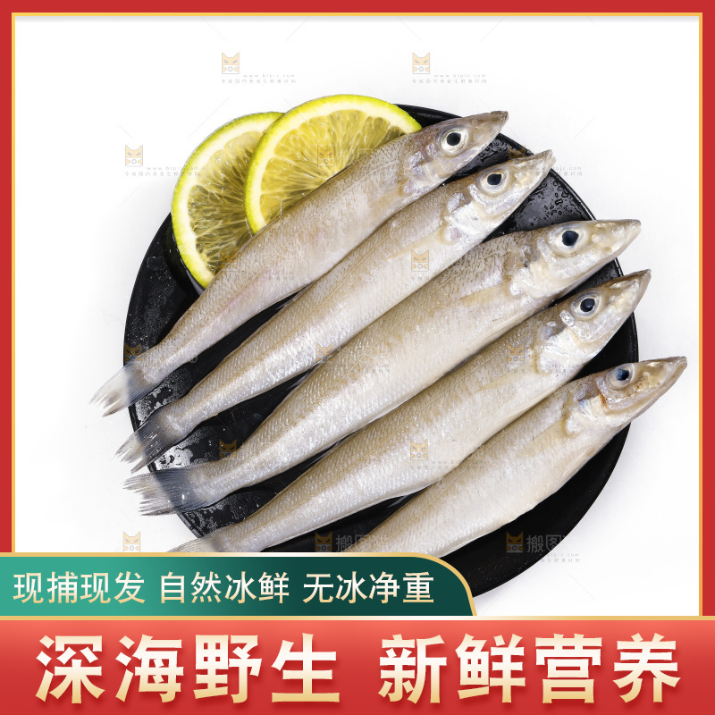 白底上的沙丁鱼