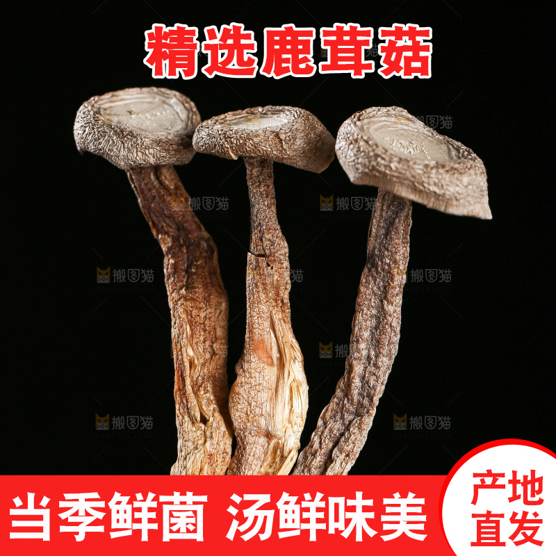 深底上的鹿茸菇
