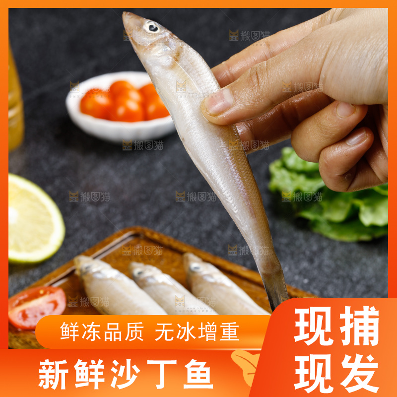 深底上的沙丁鱼