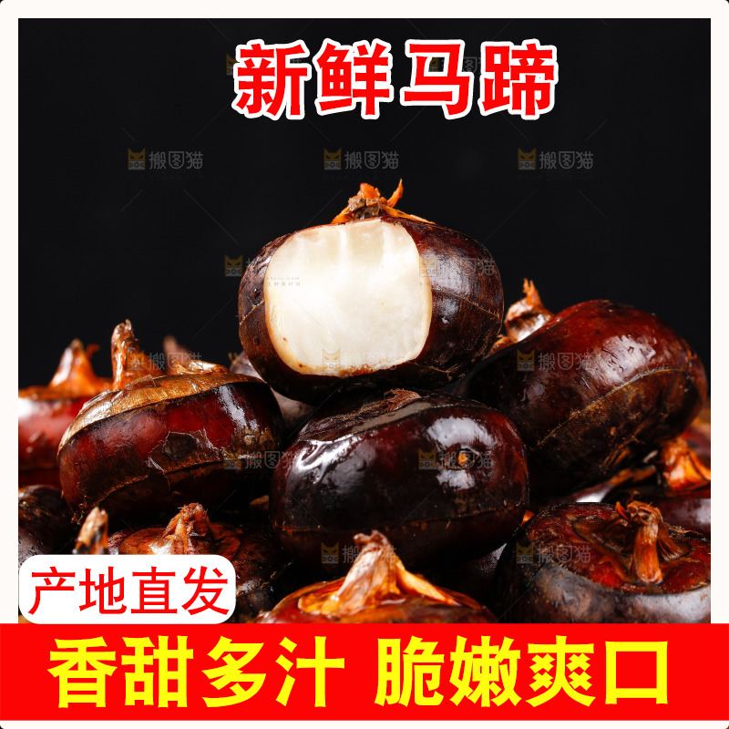 深底上的广西荔浦马蹄