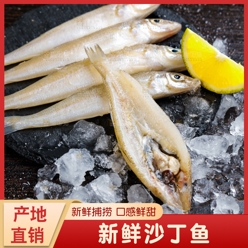 深底上的沙丁鱼