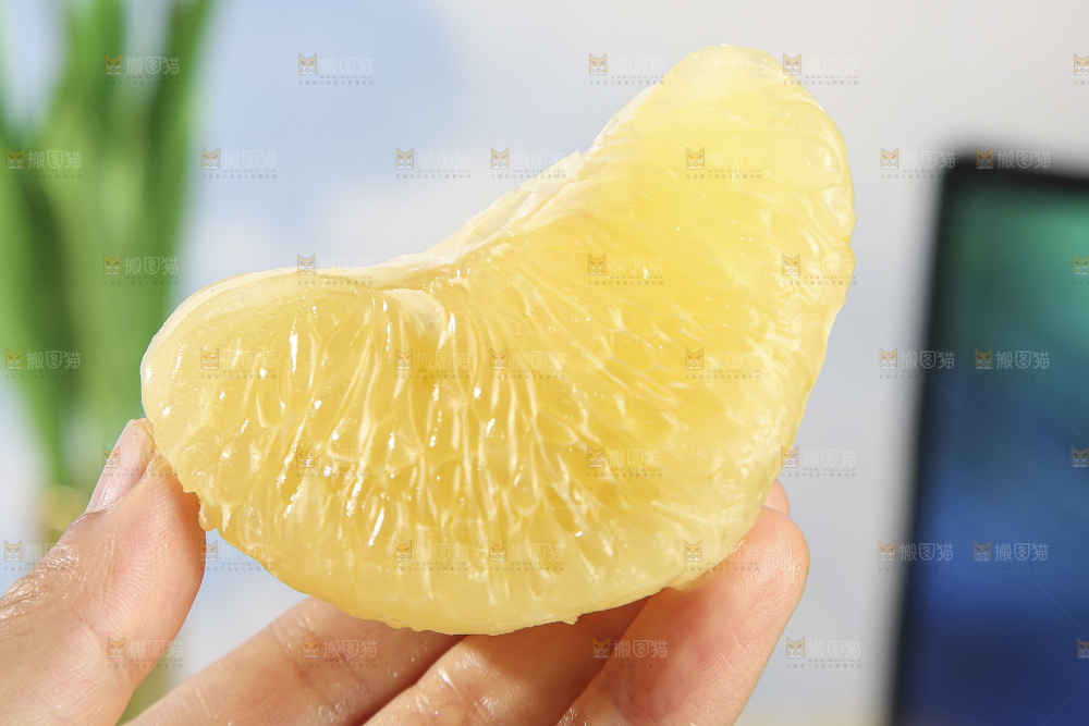 青皮葡萄柚
