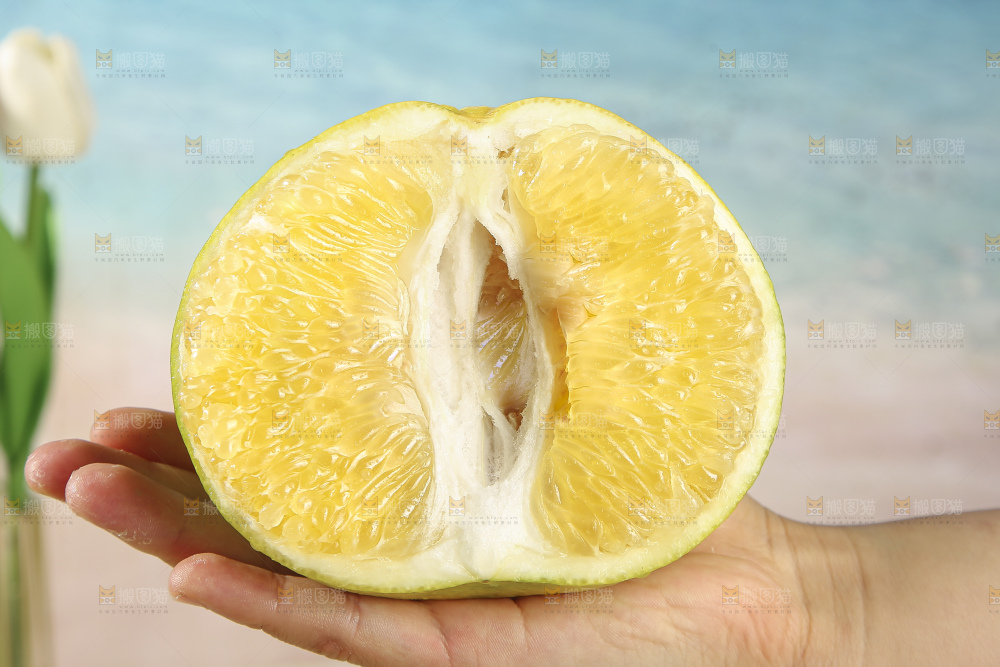 青皮葡萄柚