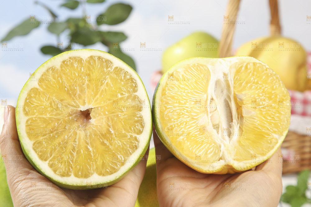 青皮葡萄柚