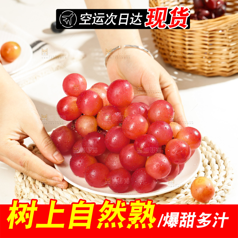浅底上的妮娜皇后葡萄