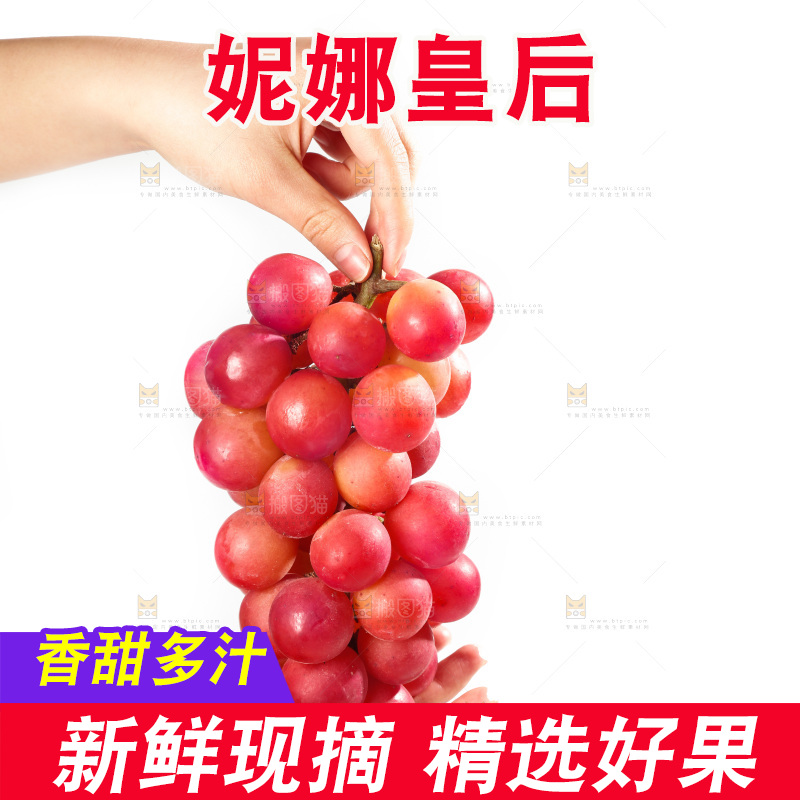 白底上的妮娜皇后葡萄