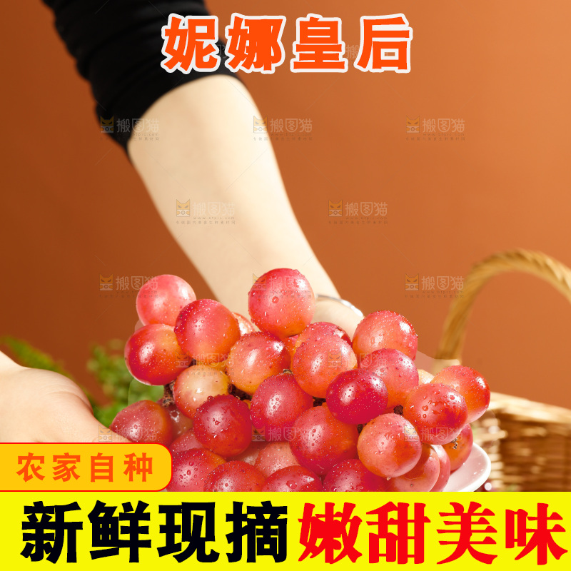 浅底上的妮娜皇后葡萄