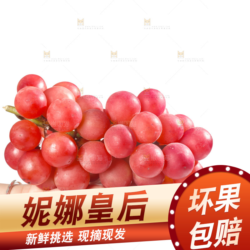 白底上的妮娜皇后葡萄