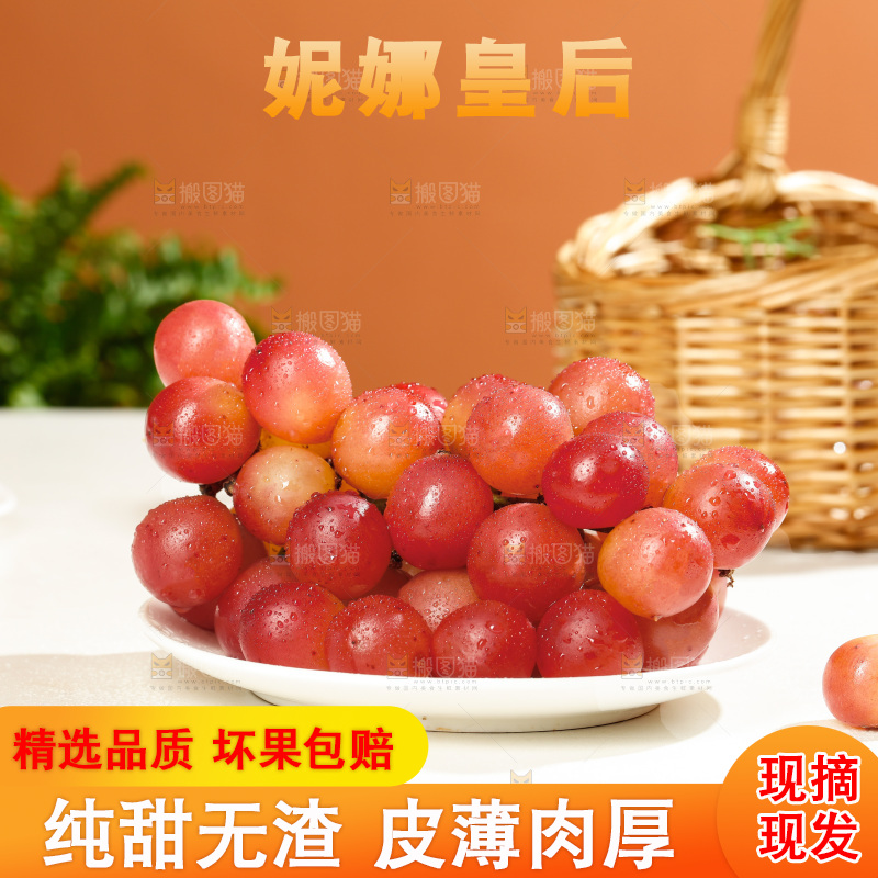 浅底上的妮娜皇后葡萄