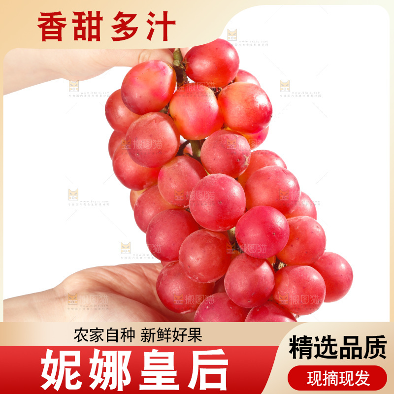 白底上的妮娜皇后葡萄