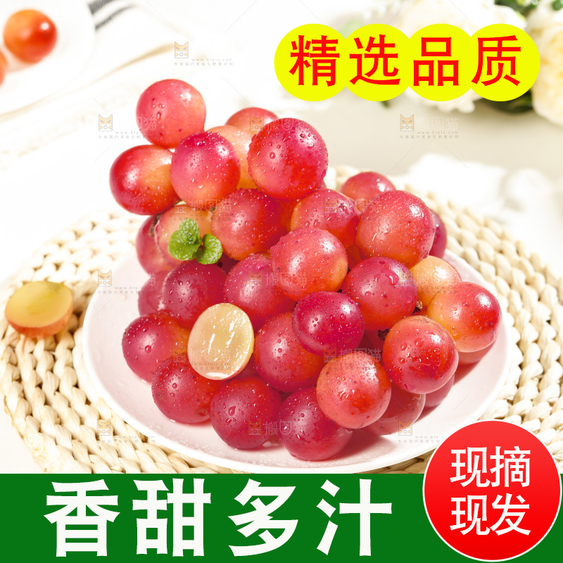 浅底上的妮娜皇后葡萄
