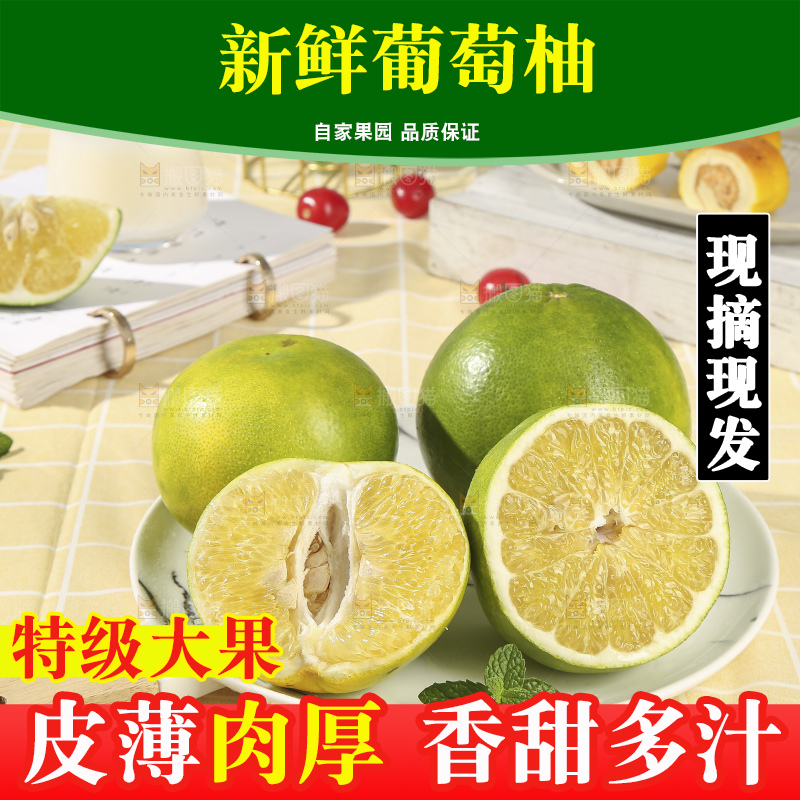 浅底上的泰国青柚