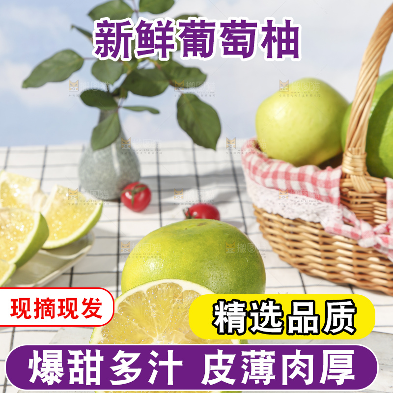 浅底上的泰国青柚