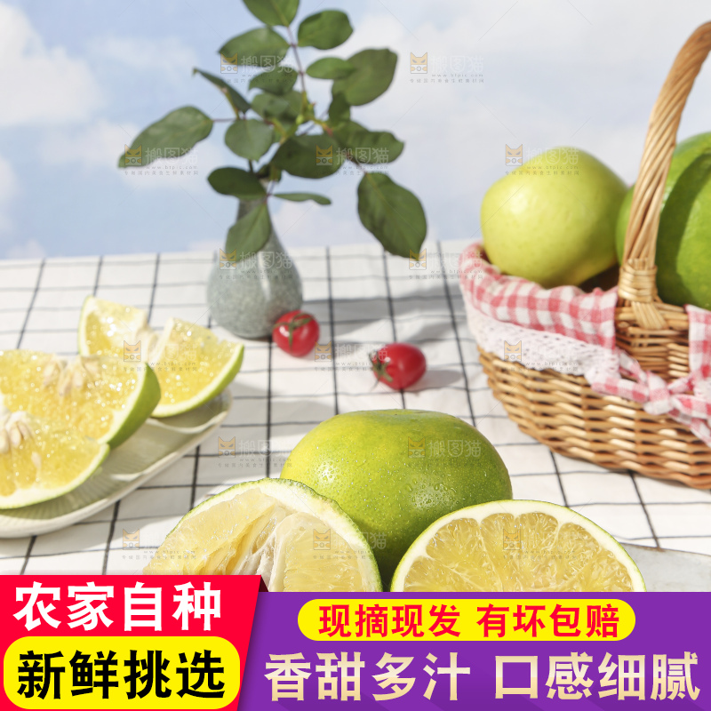 浅底上的泰国青柚