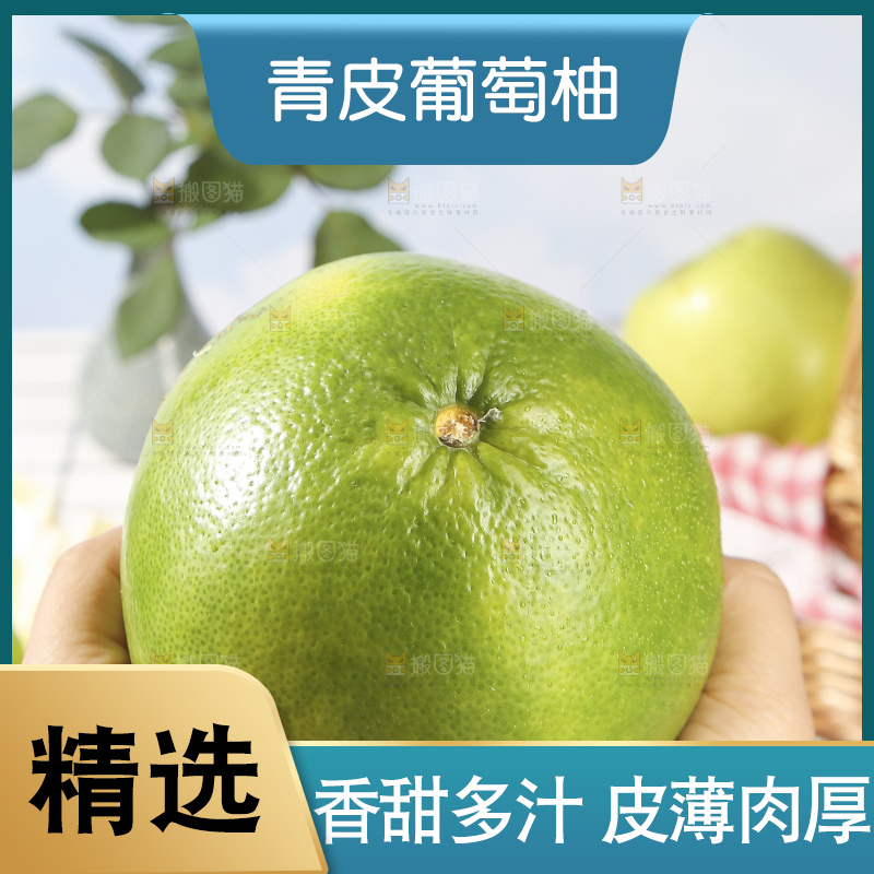 浅底上的泰国青柚