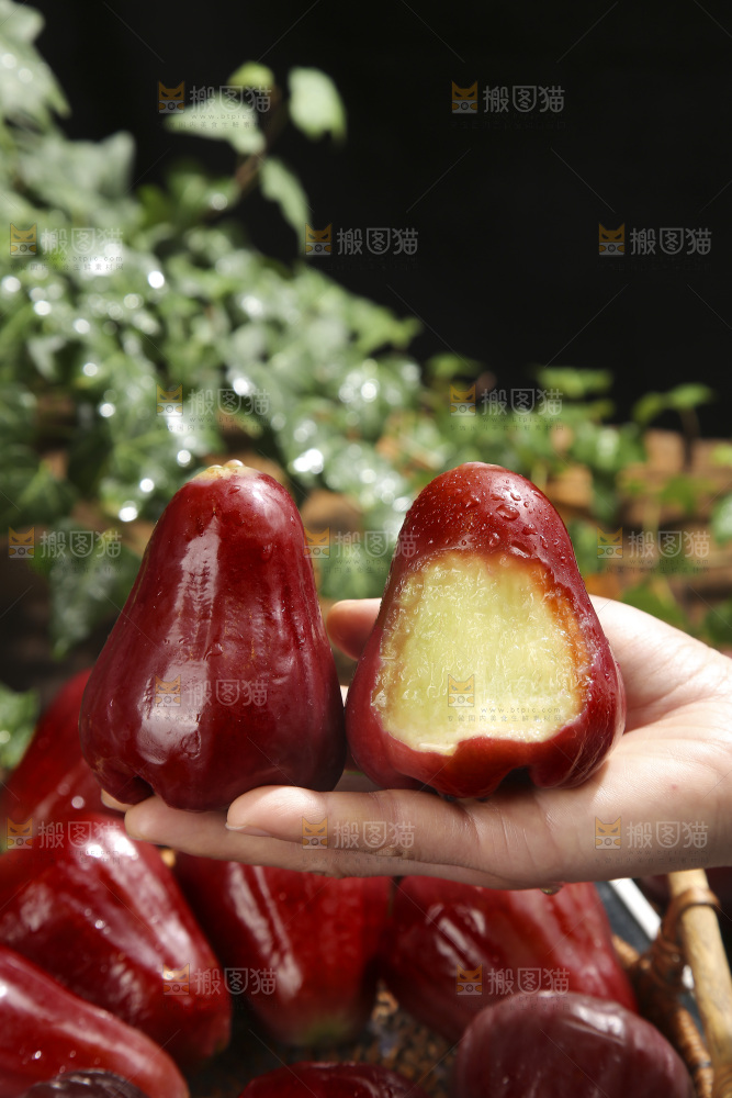 深底上的黑金刚莲雾