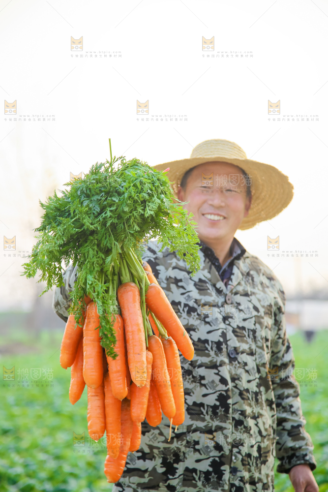 手里拿着胡萝卜