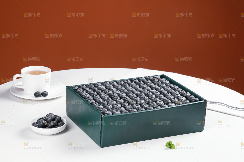 浅底上的新鲜蓝莓